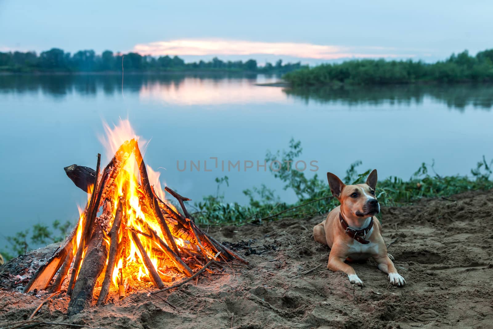 Beautiful bonfire by the river. by sveter