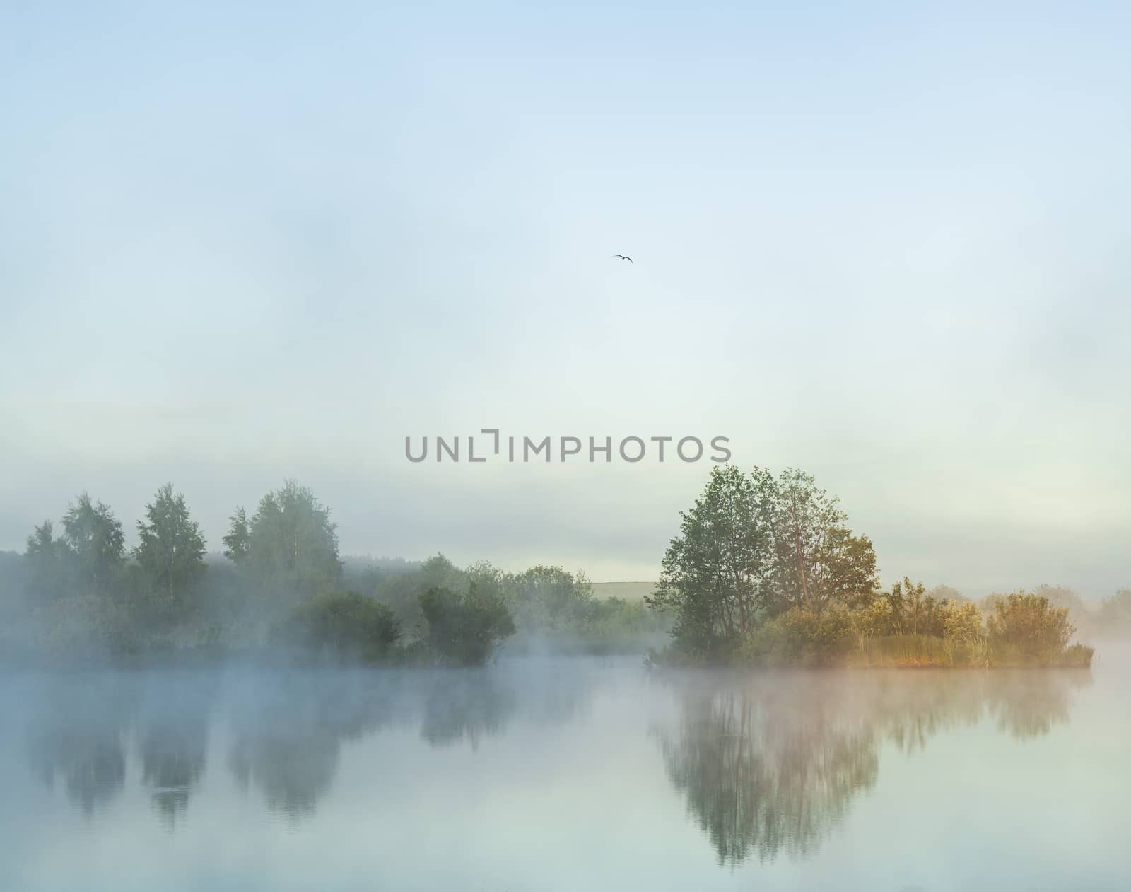 River before sunrise in the fog by sveter