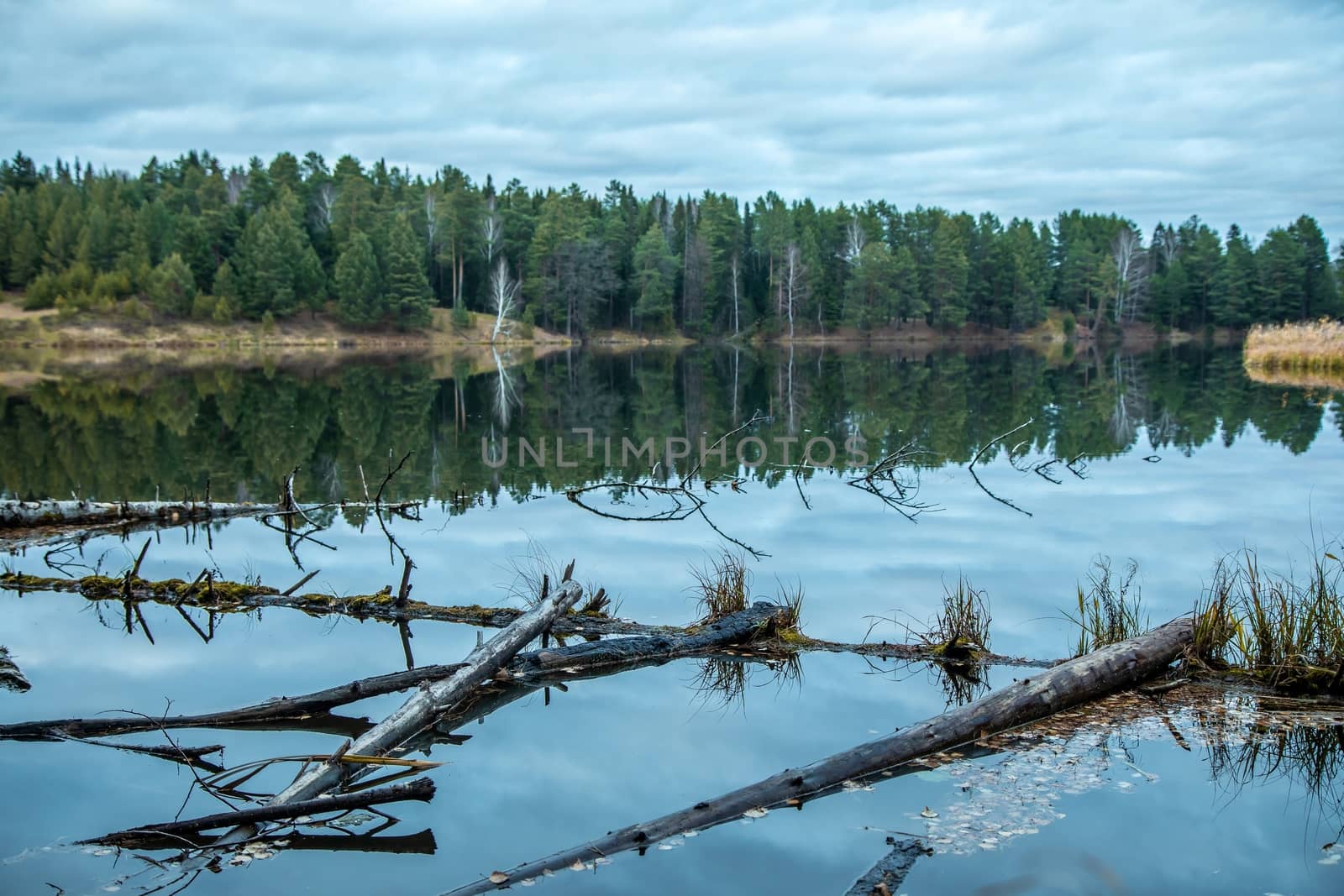 Idyllic landscape. The sky and the forest are reflected in the river.