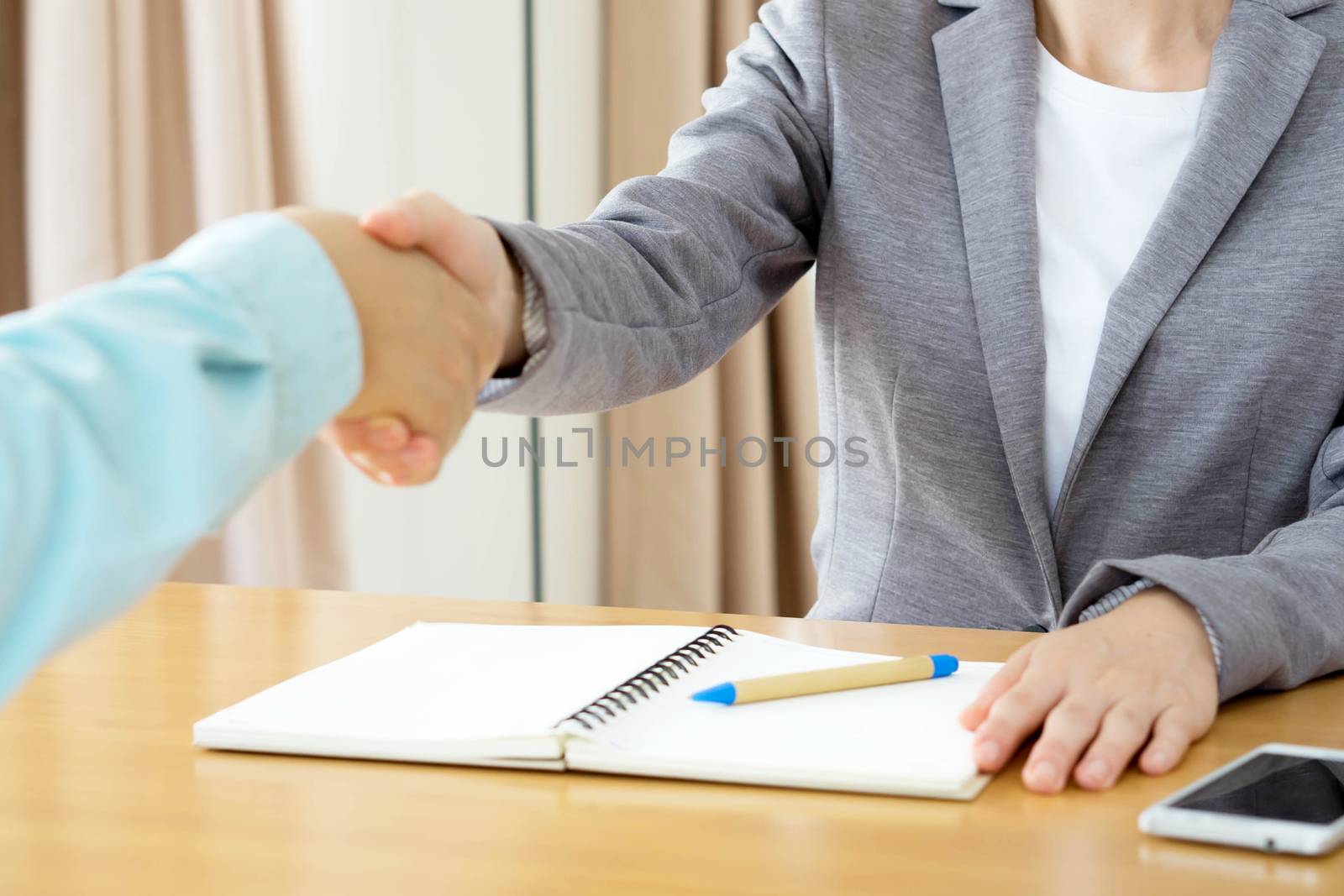 Business people shaking hands