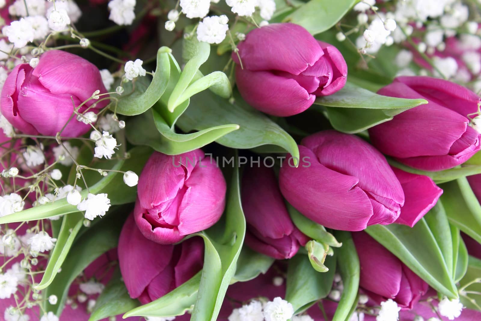 Bouquet of pink flowers