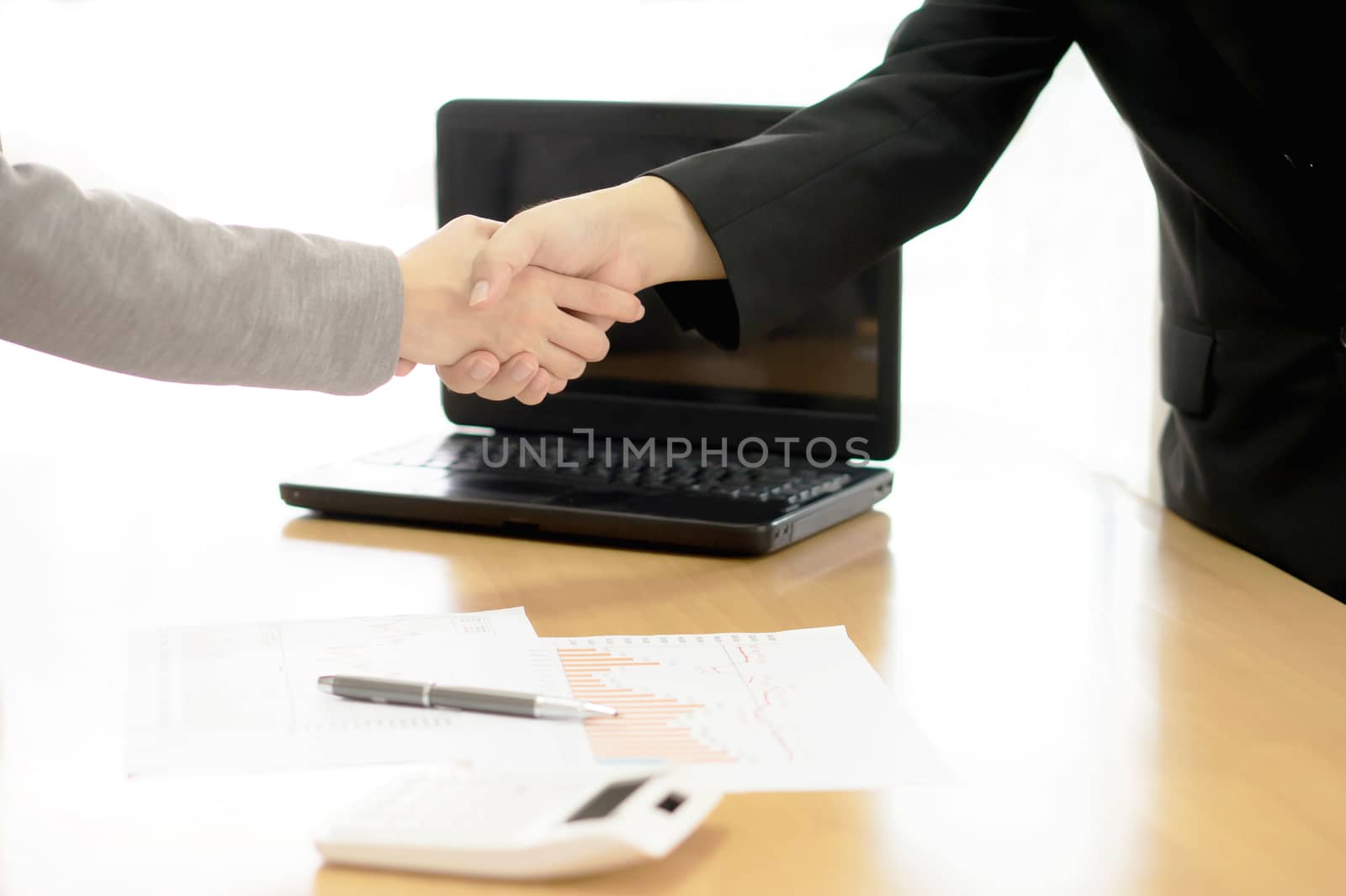 Two Businesspeople shaking hands indoors