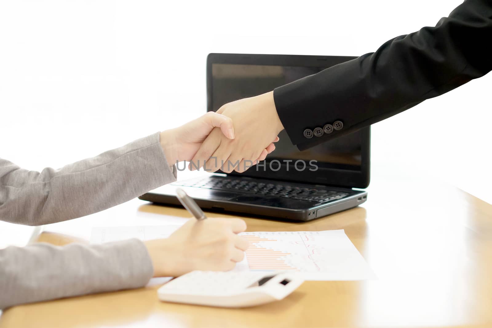 Two Businesspeople shaking hands indoors