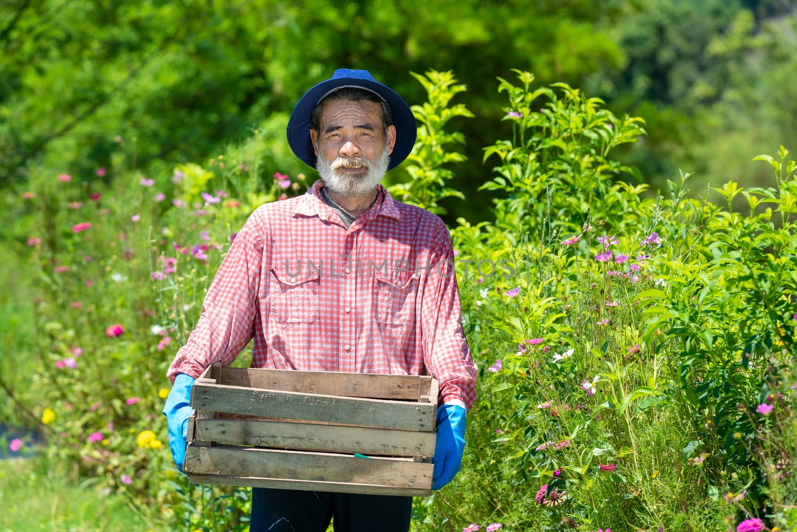 Active happy senior man working in the garden. by Visoot