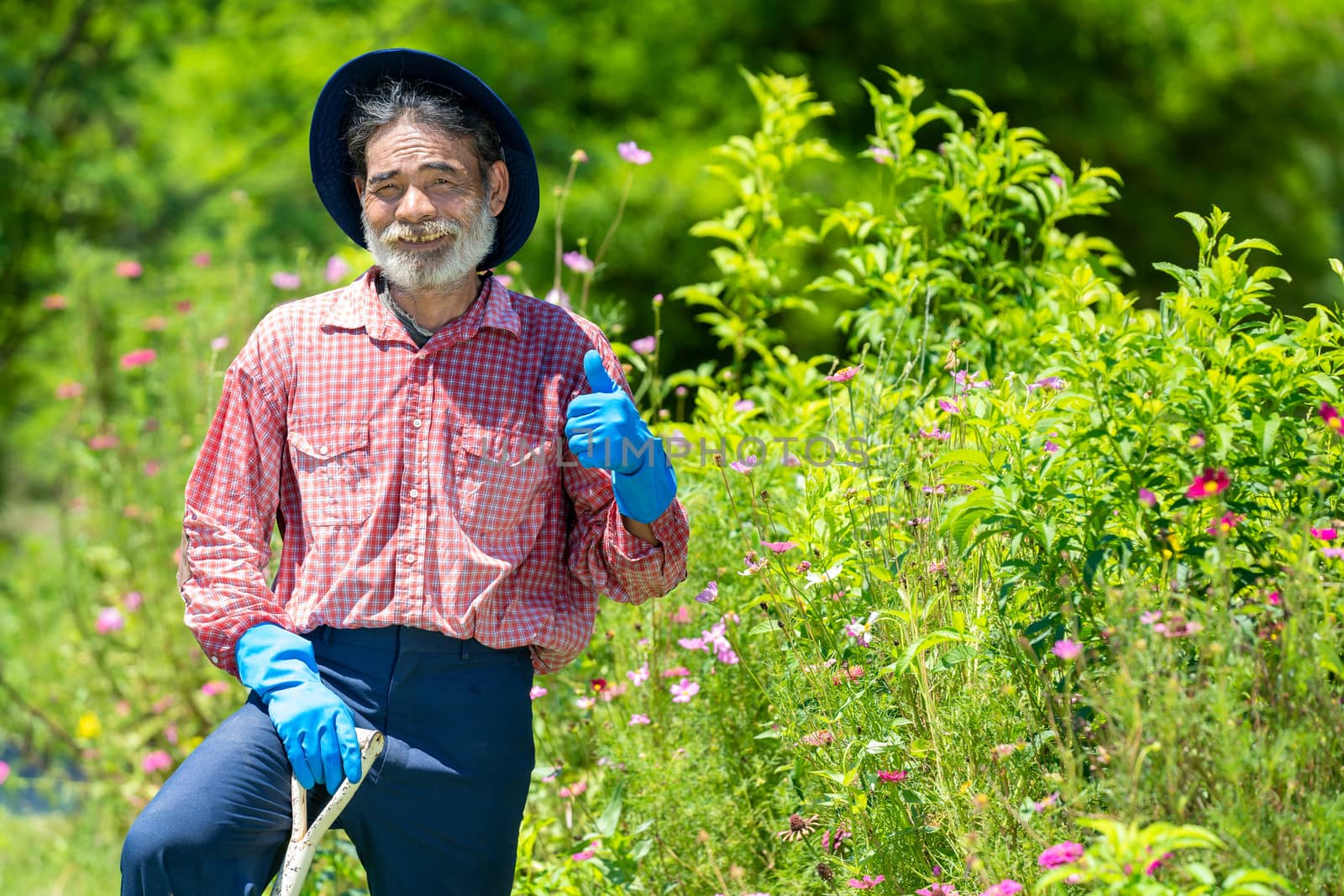 Portrait of senior man with gardening tools outdoors working in the garden.