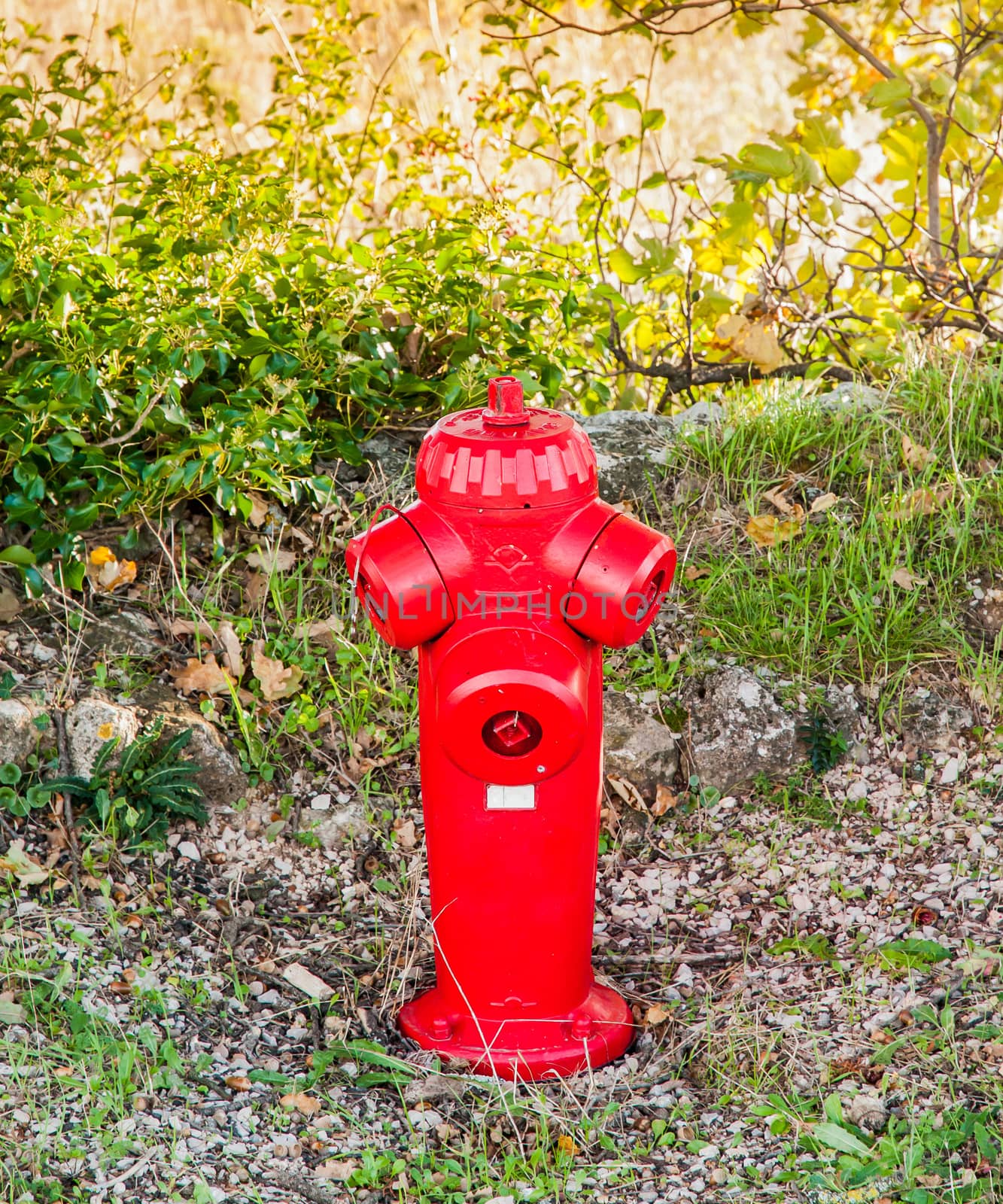 A red hydrant close to a field, in Provence - South of France