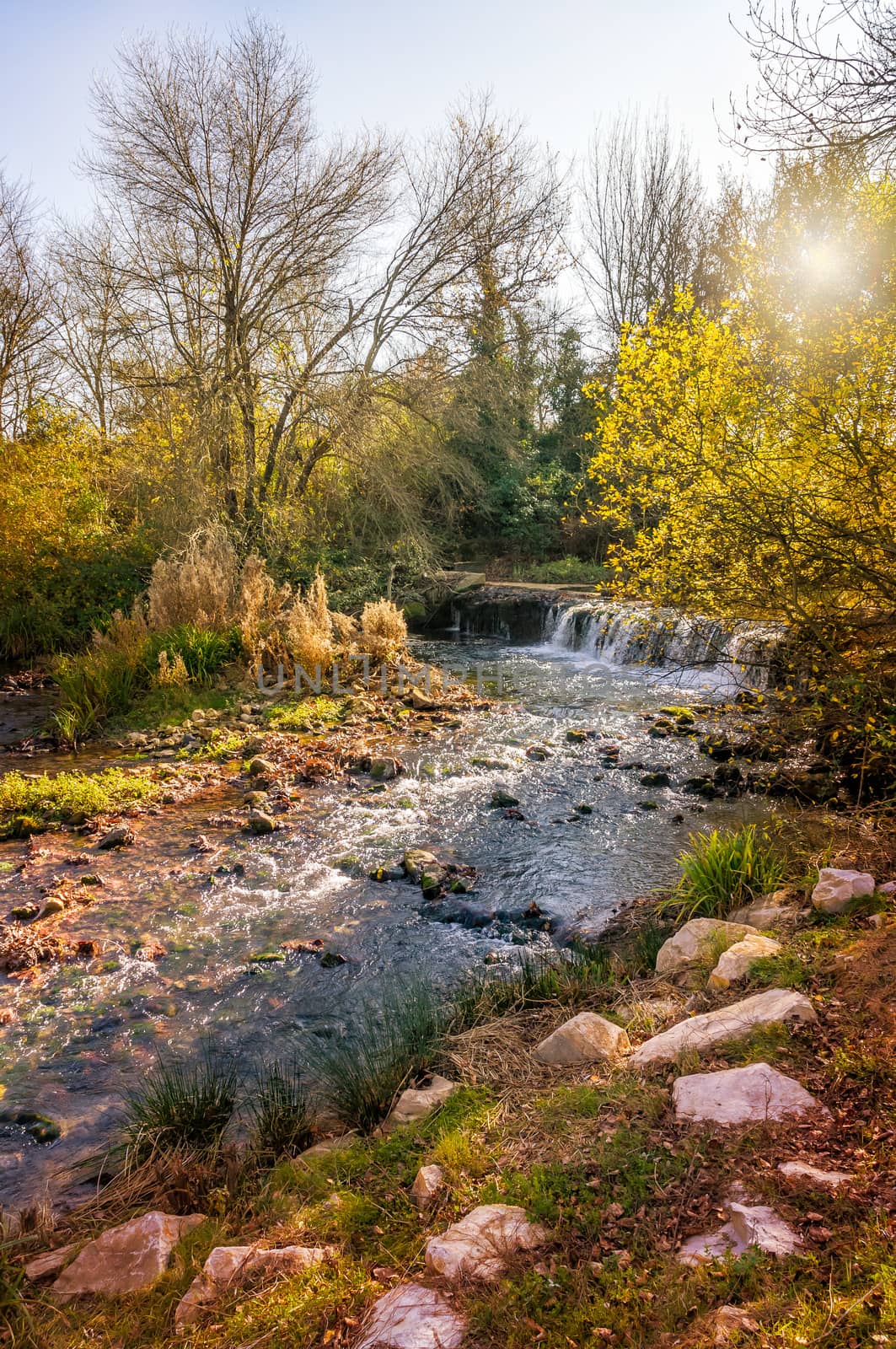 Little Stream in Provence by MaxalTamor