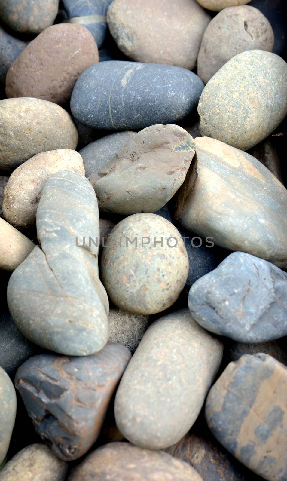 Abstract background with dry round pebble stones macro  by ekachailo