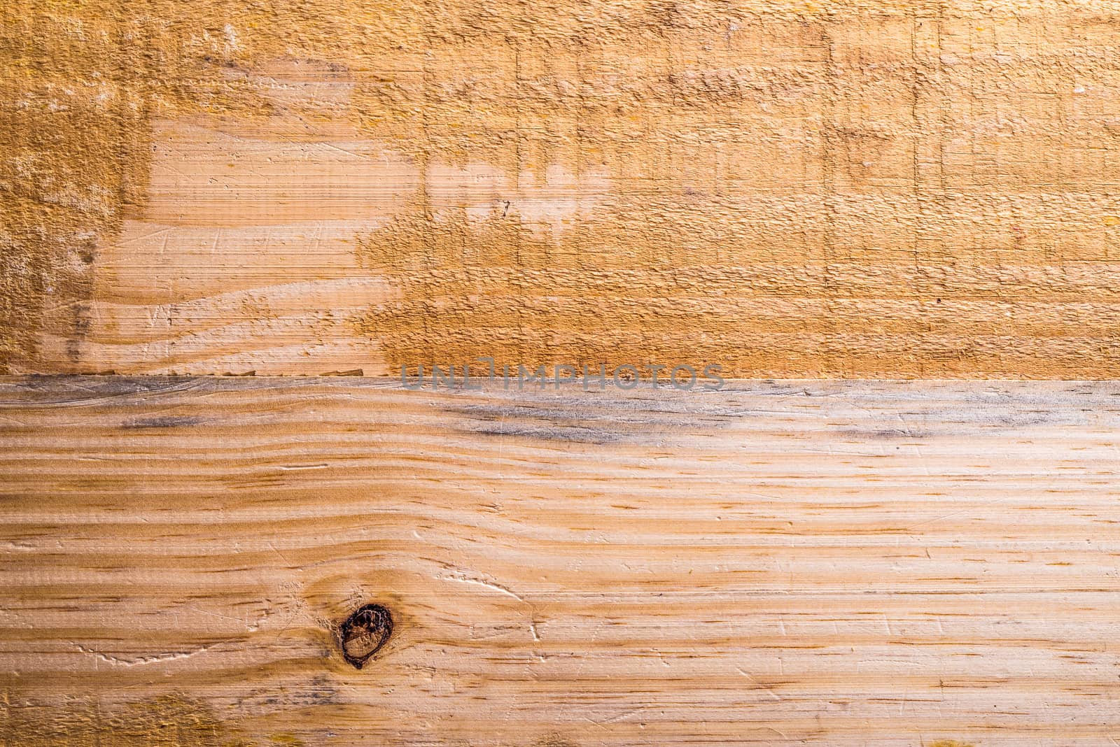 Detail of a light natural plank of pine tree