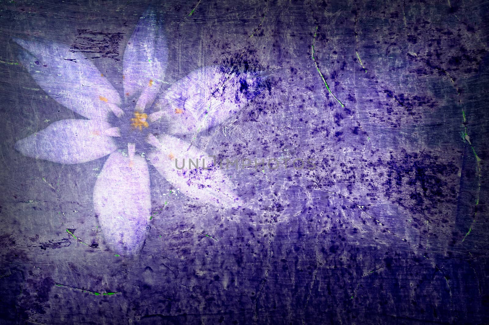 Violet old wall texture with flower for background or decoration