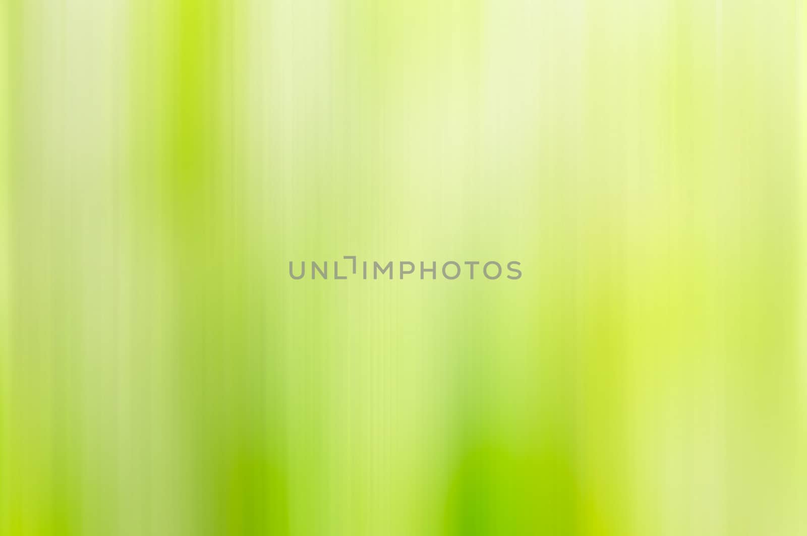 A natural green - yellow bokeh blur of flowers, herbs, plants and trees in a meadow