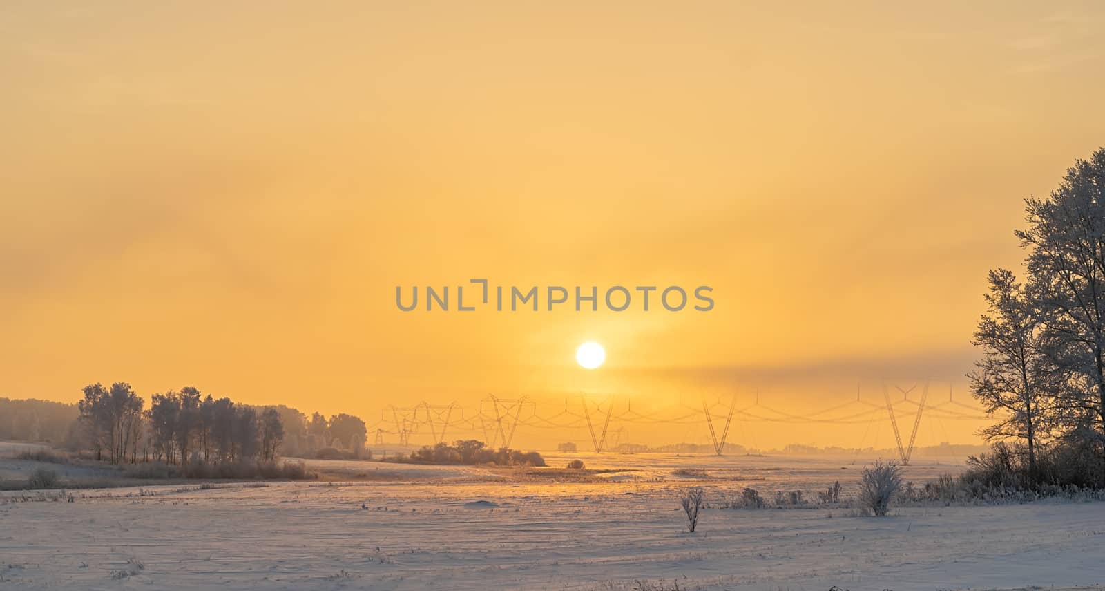 winter, frosty landscape of nature with dim evening sunlight, fog and trees covered with ice and frost