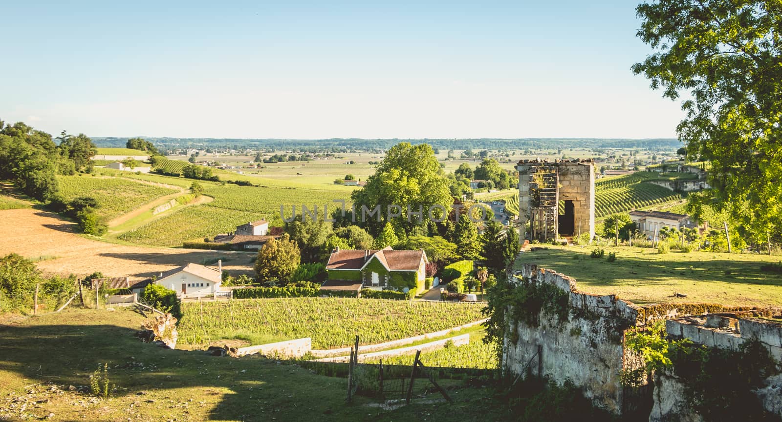 view of the valley on the vineyards of Saint Emilion by AtlanticEUROSTOXX
