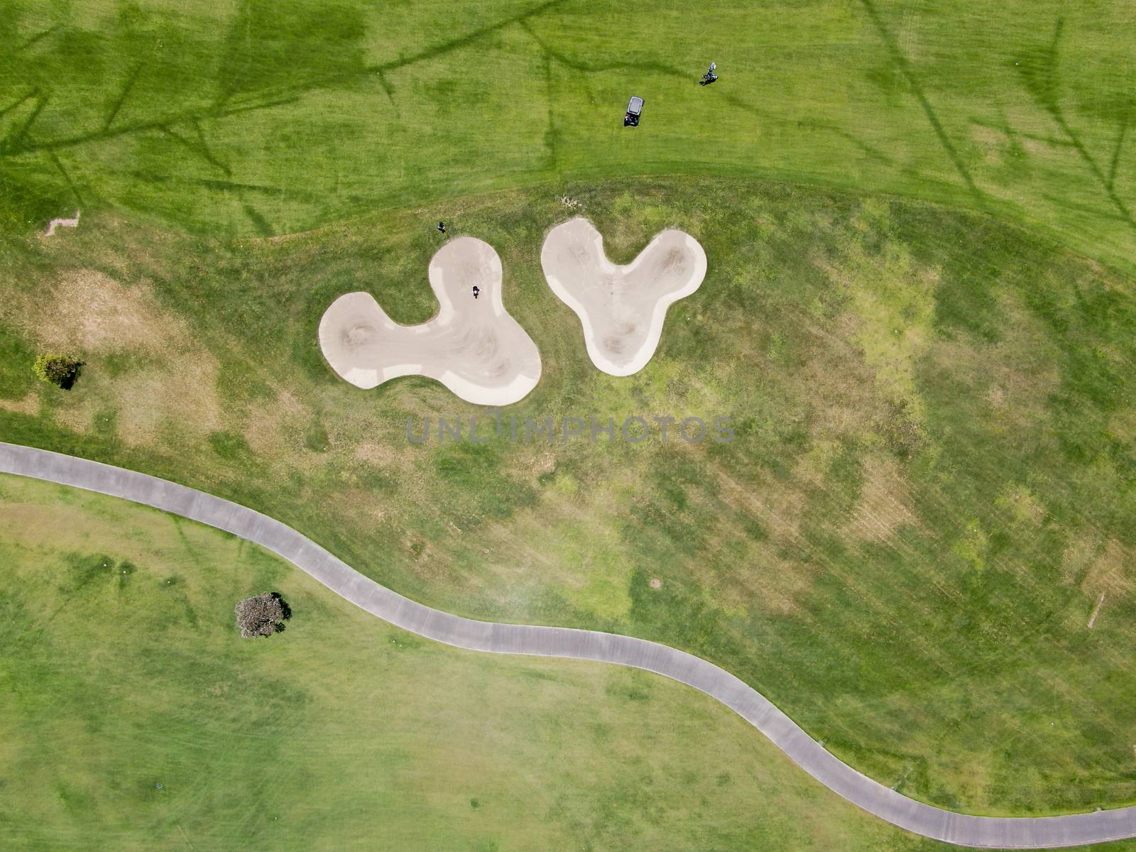 Aerial top view of a green golf course during sunny day, California