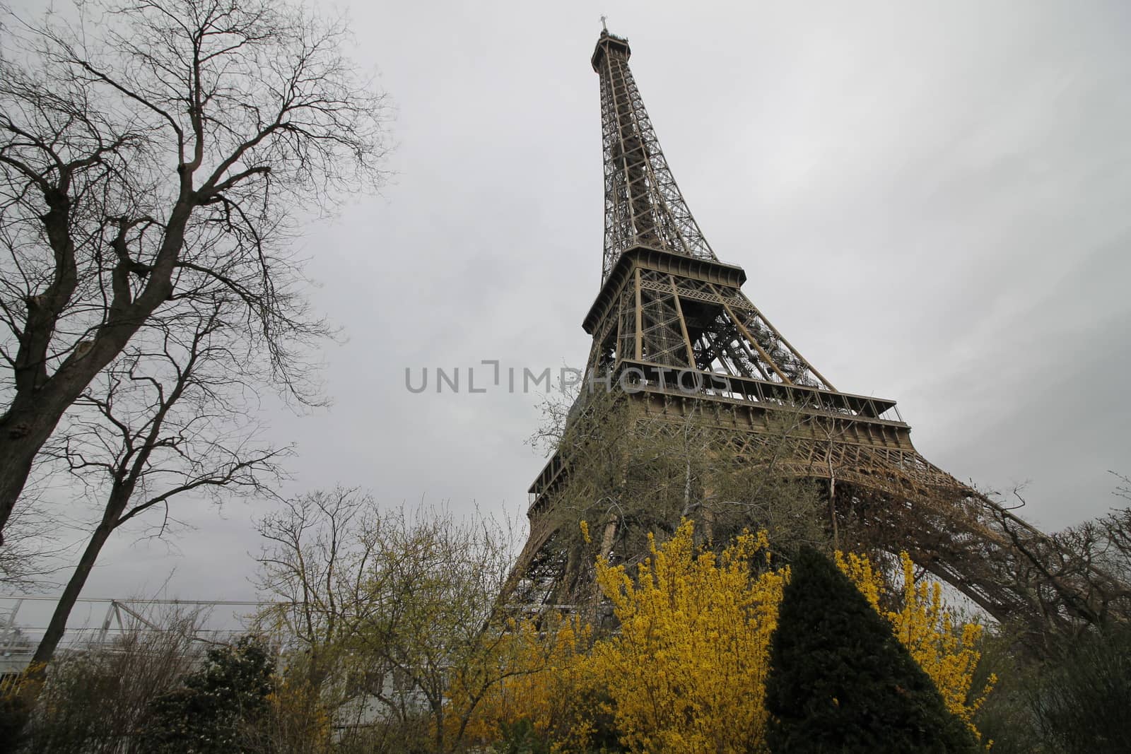 Eifel tower by marcobir