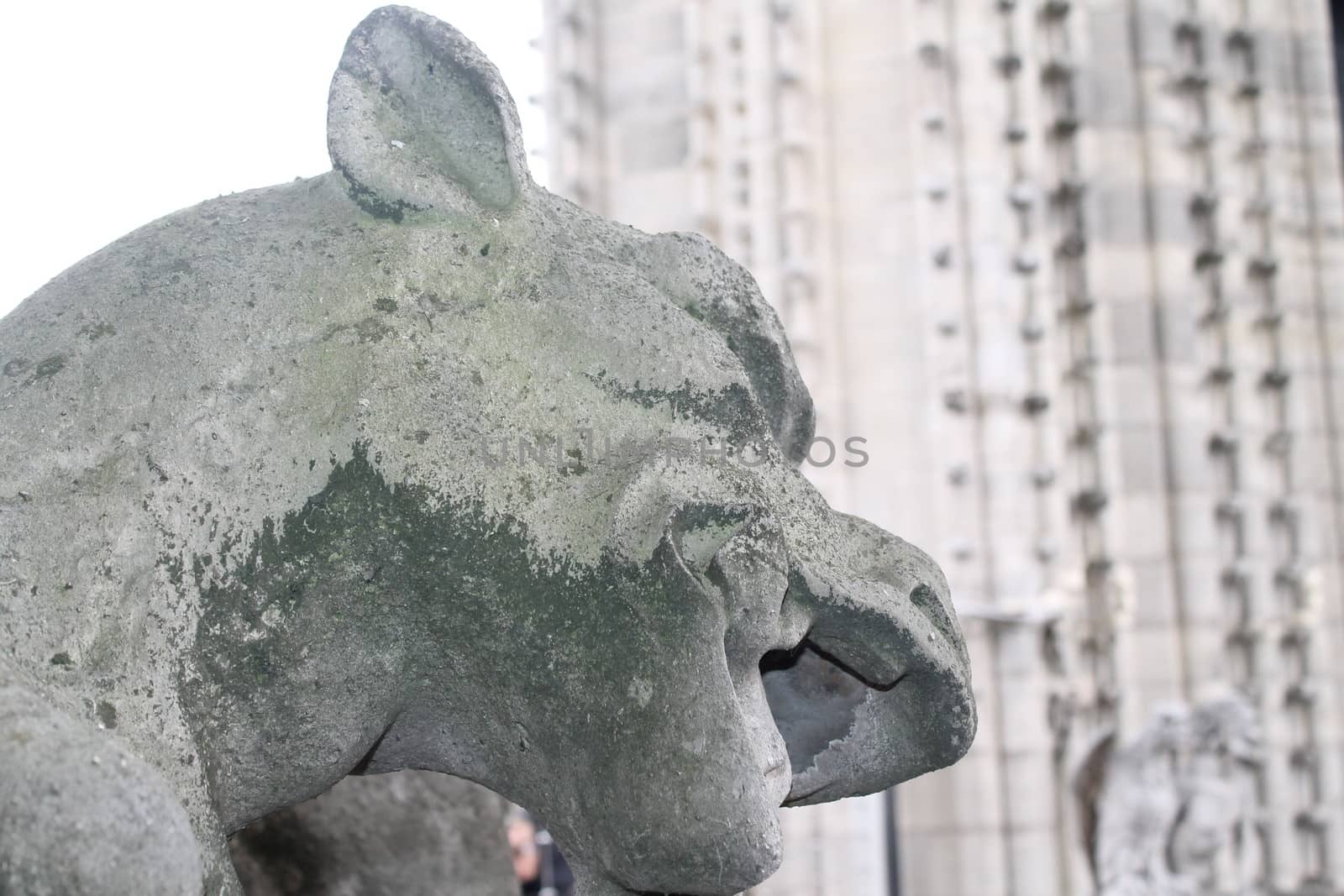 Gargoyle or chimera on the Cathedral of Notre Dame de Paris looks at the Eiffel Tower, Paris, France. Gargoyles are the Gothic landmarks in Paris. Vintage skyline of Paris with an old demon statue.