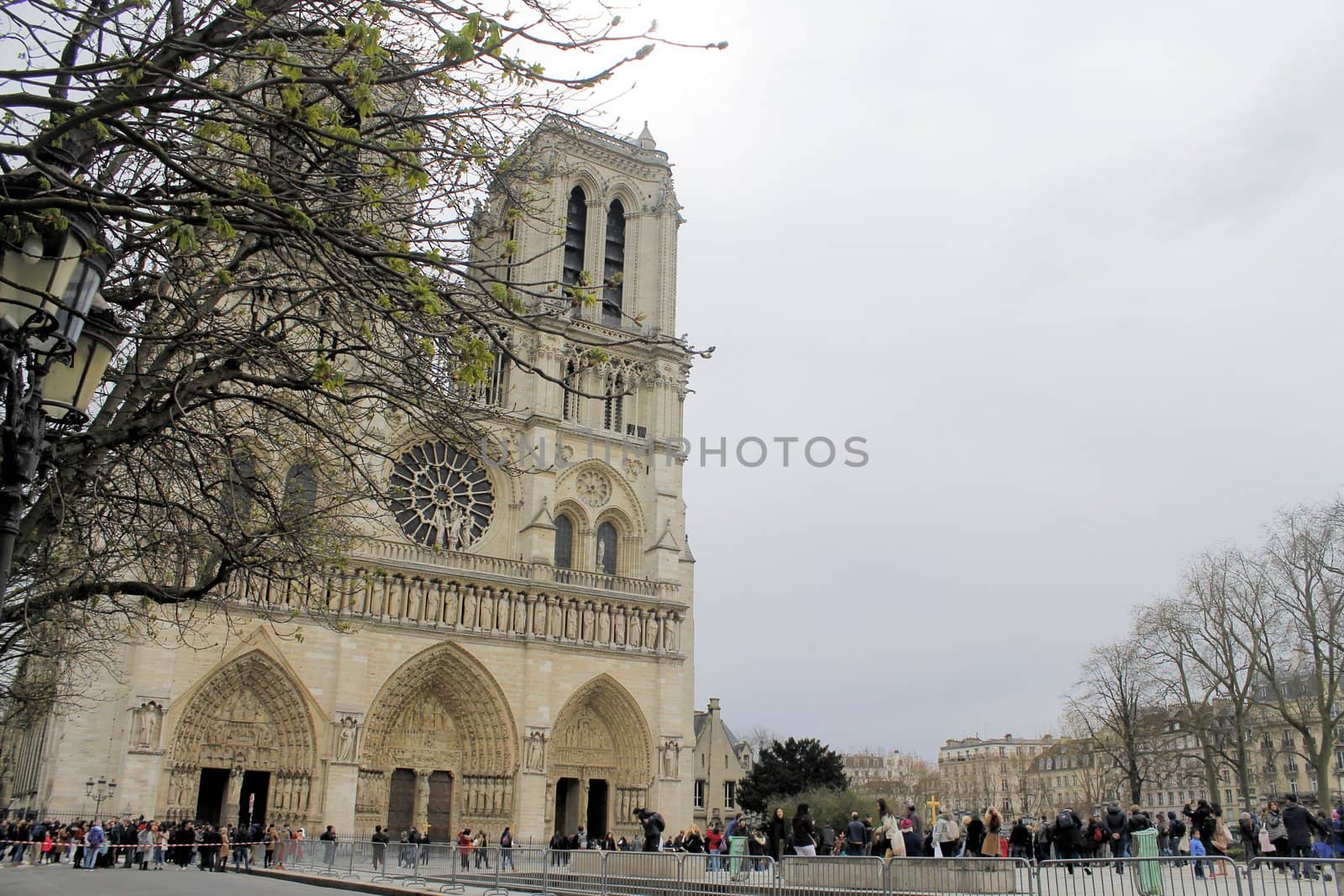 notre dame by marcobir
