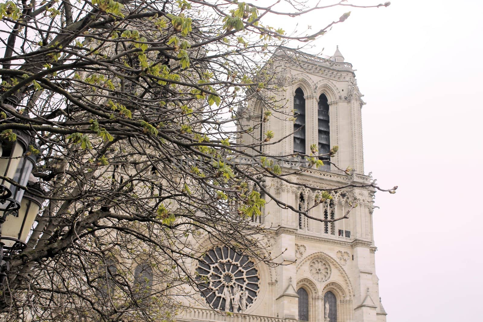 notre dame by marcobir