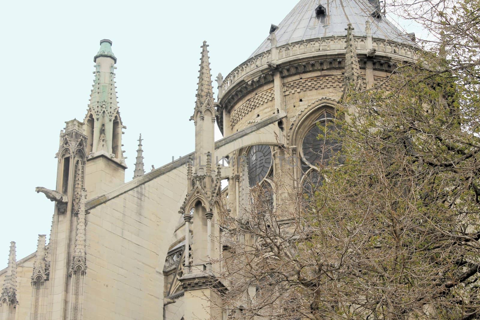 notre dame de paris cathedral in france