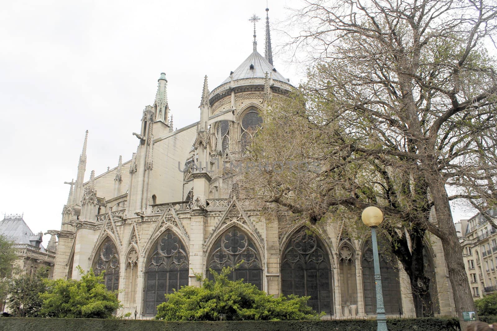 notre dame by marcobir