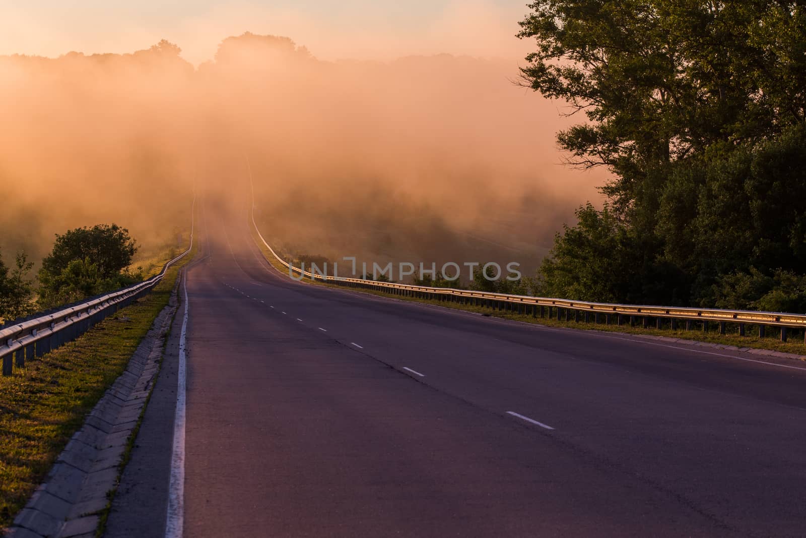 early morning fog in wold at summer highway near river with guard rails.