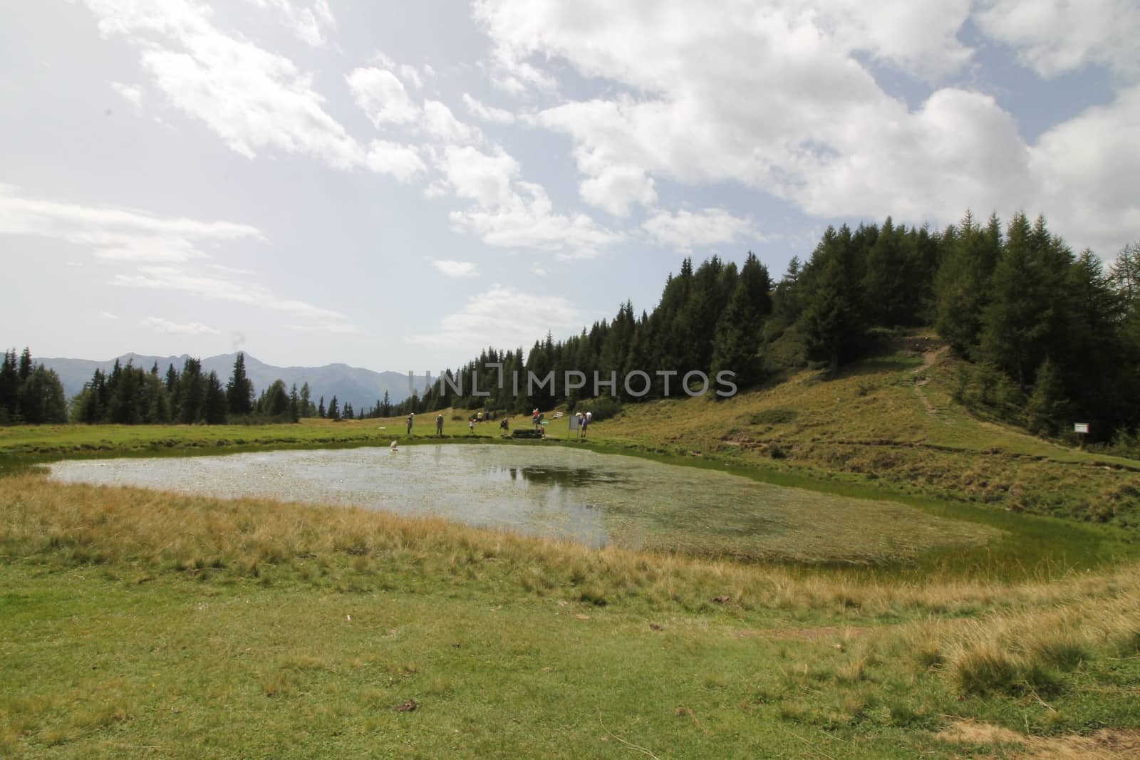 Scenic view to small alpine lake and big mountains with glacier in sunlight. Awesome green landscape with blue mountain lake among mosses in green highland valley in sunny day. Wonderful scenery.