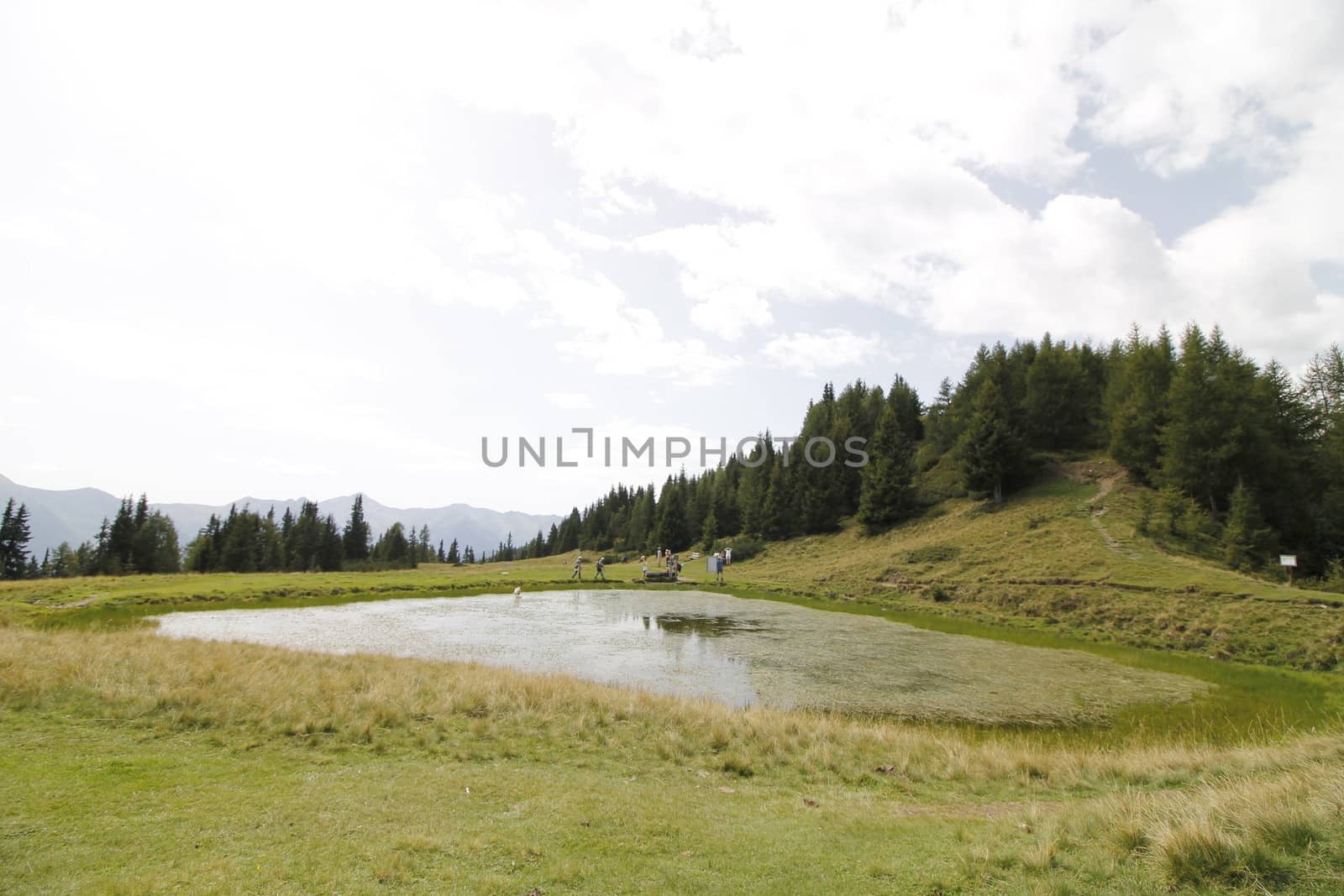 Scenic view to small alpine lake and big mountains with glacier in sunlight. Awesome green landscape with blue mountain lake among mosses in green highland valley in sunny day. Wonderful scenery.