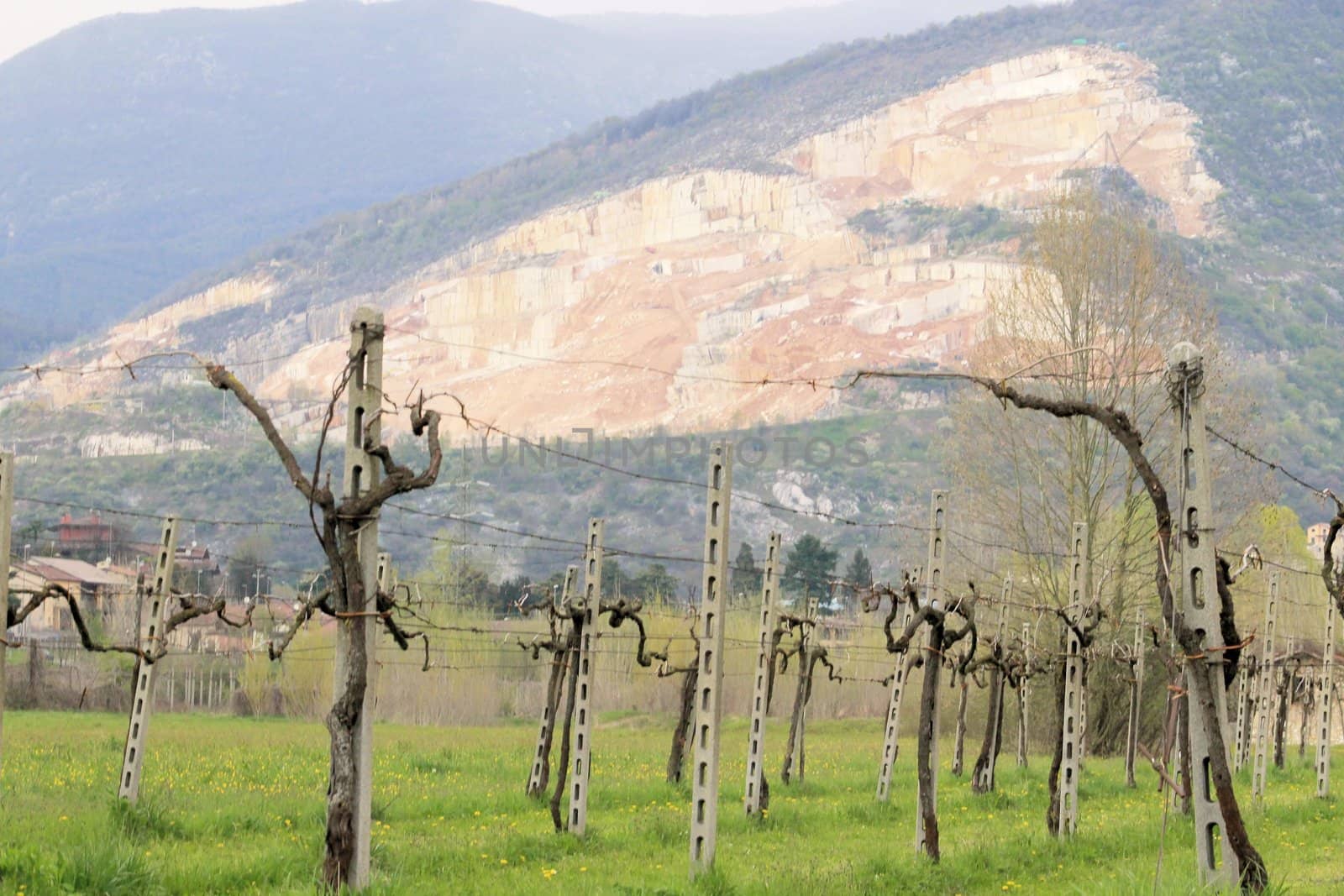 mountains with marble quarries in Botticino in northern Italy