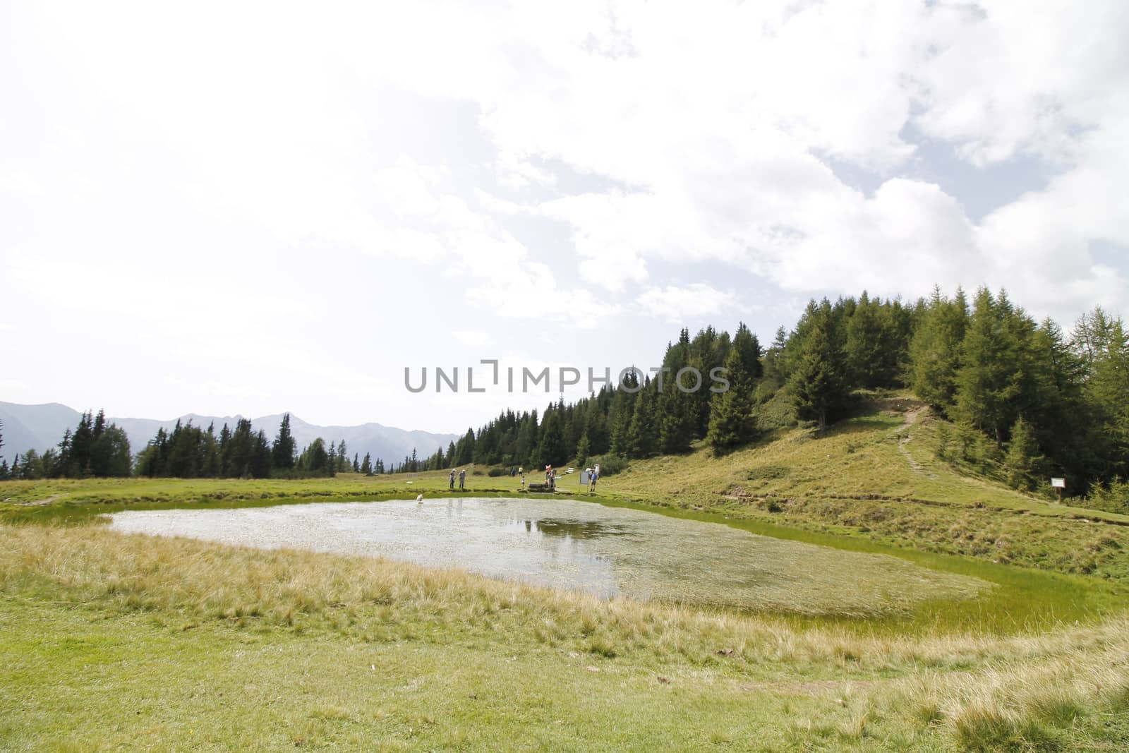 Scenic view to small alpine lake and big mountains with glacier in sunlight. Awesome green landscape with blue mountain lake among mosses in green highland valley in sunny day. Wonderful scenery.