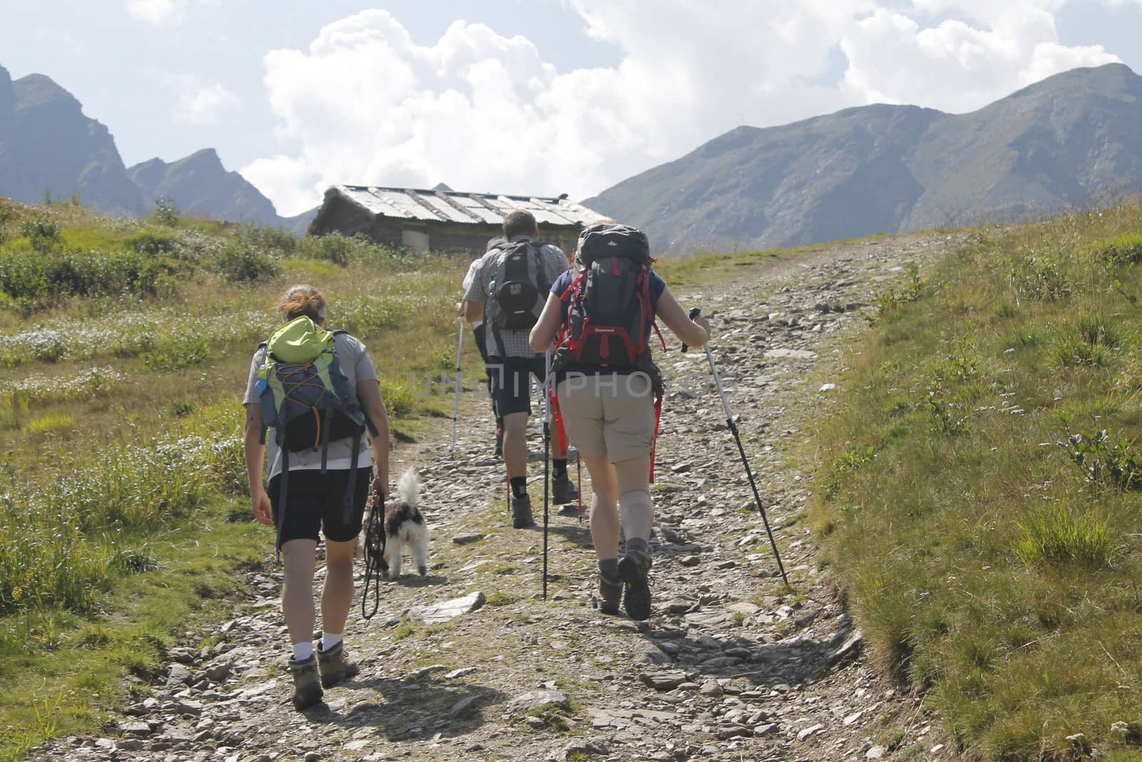 Mountain climbing. Three people go uphill with trekking poles and backpacks.