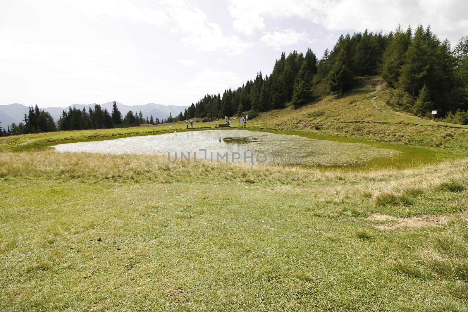 Scenic view to small alpine lake and big mountains with glacier in sunlight. Awesome green landscape with blue mountain lake among mosses in green highland valley in sunny day. Wonderful scenery.