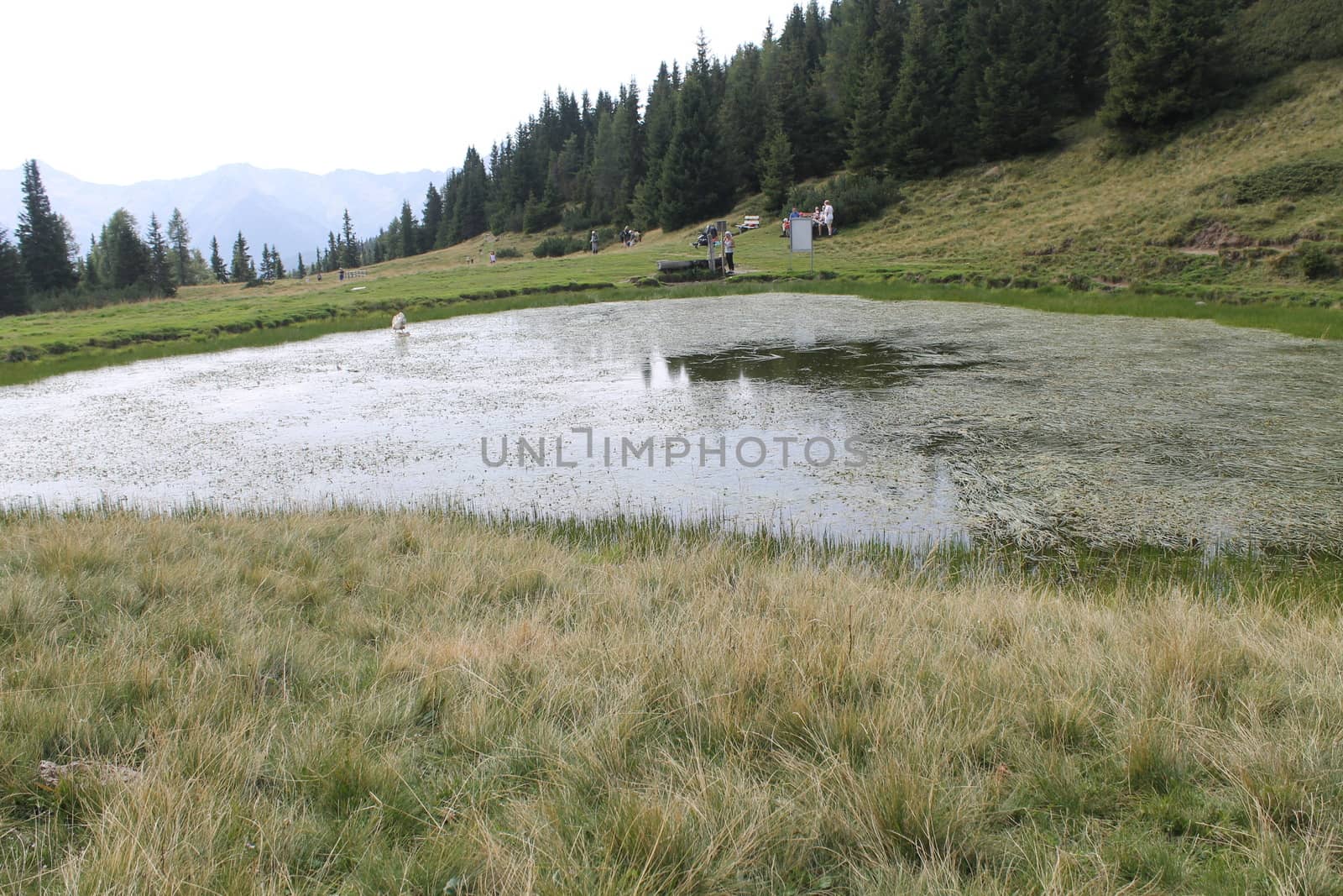 Scenic view to small alpine lake and big mountains with glacier in sunlight. Awesome green landscape with blue mountain lake among mosses in green highland valley in sunny day. Wonderful scenery.