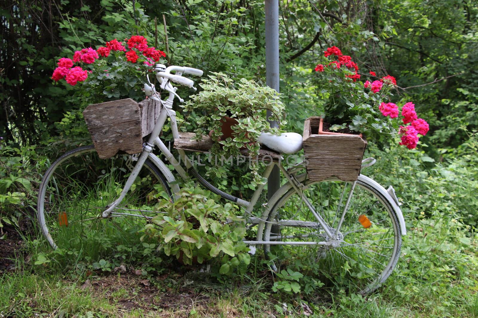 Decorative flower stand in the shape of a bicycle with flower pots and flowers in them