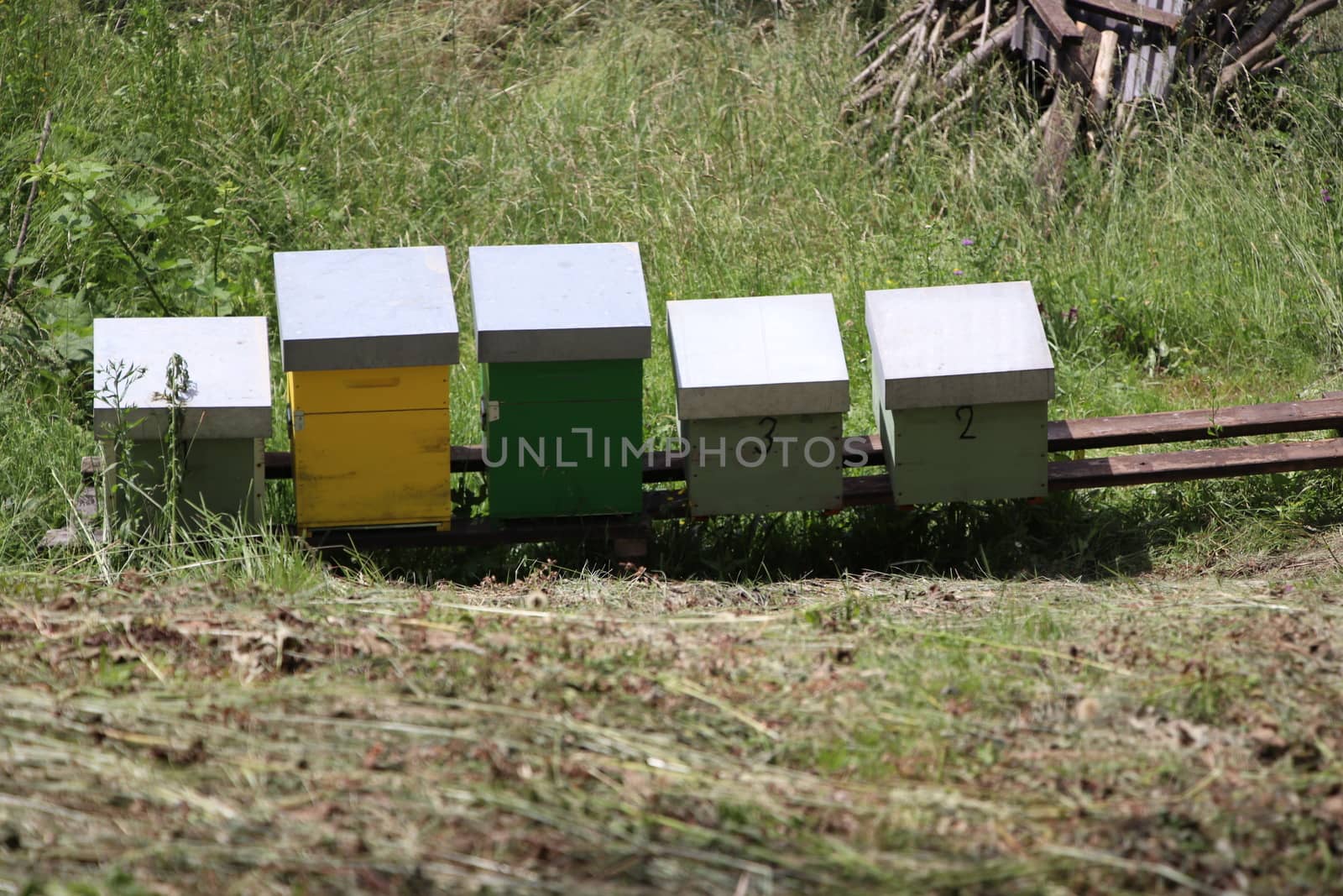 view with beehives