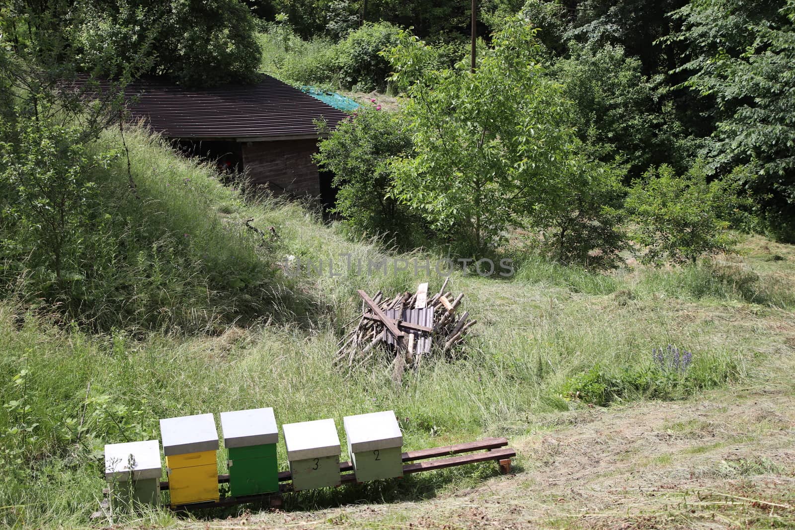 view with beehives