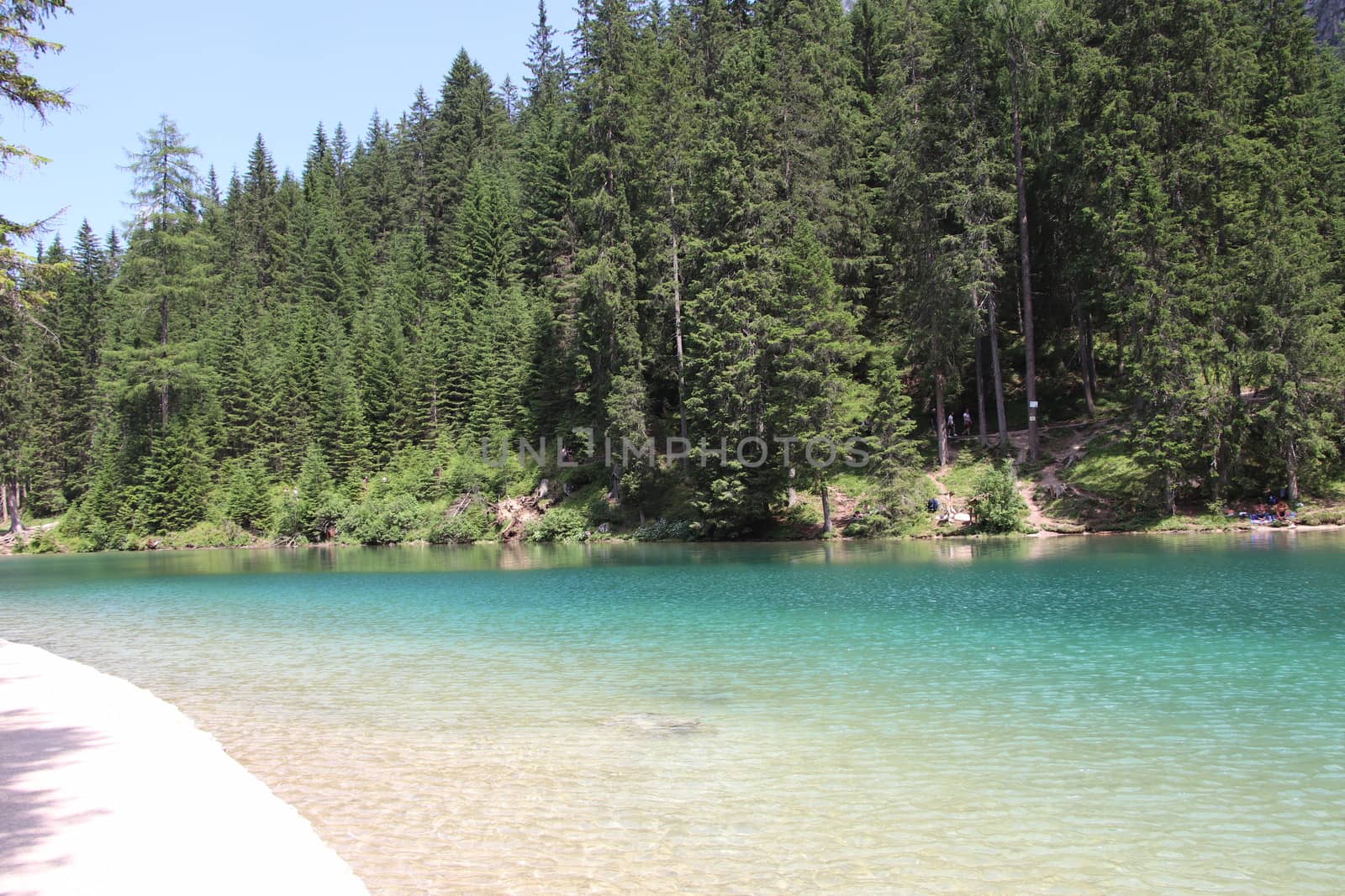 Braies Lake in Dolomites mountains forest trail in background, Sudtirol, Italy. Lake Braies is also known as Lago di Braies. The lake is surrounded by forest which are famous for scenic hiking trails.