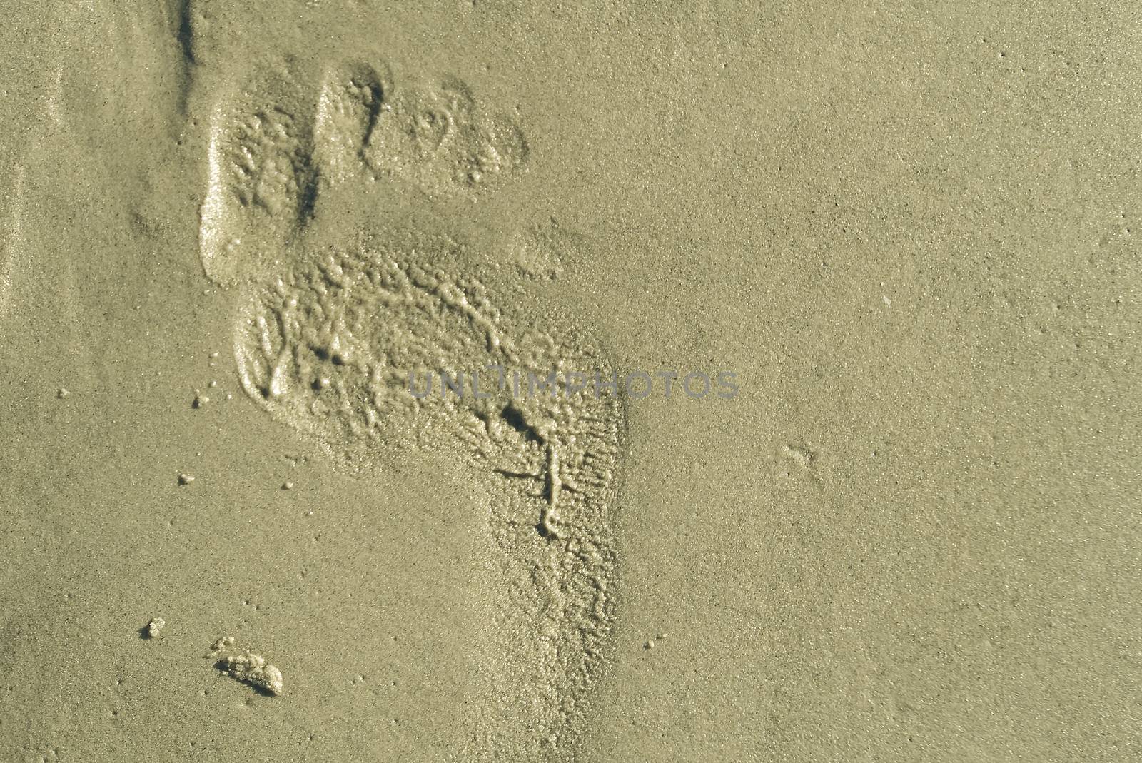 footsteps on beach in sandy. Footsteps on the coral sandy beach. footprints in the sand