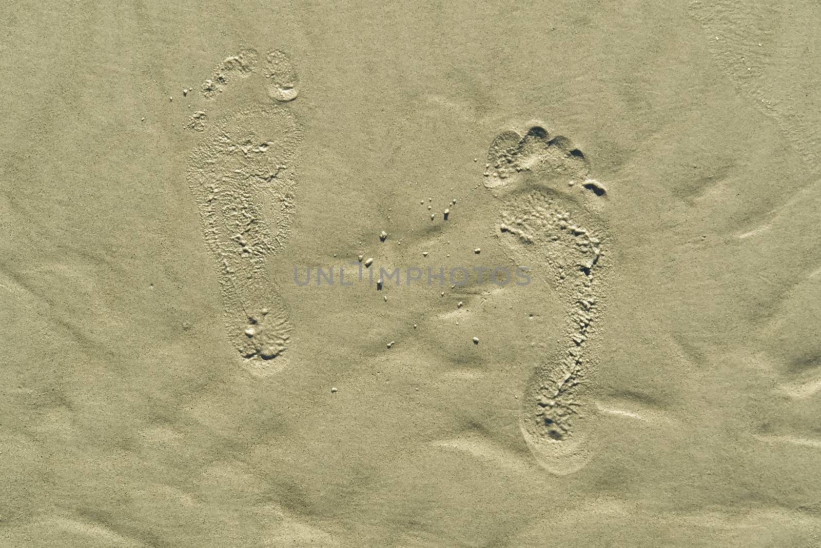footsteps on beach in sandy. Footsteps on the coral sandy beach. footprints in the sand. by PhotoTime