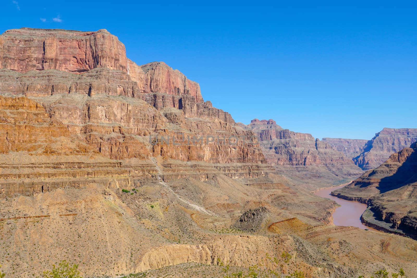 Landscape view of Grand Canyon National Park with Colorado river during sunny day. Arizona, USA by Bonandbon
