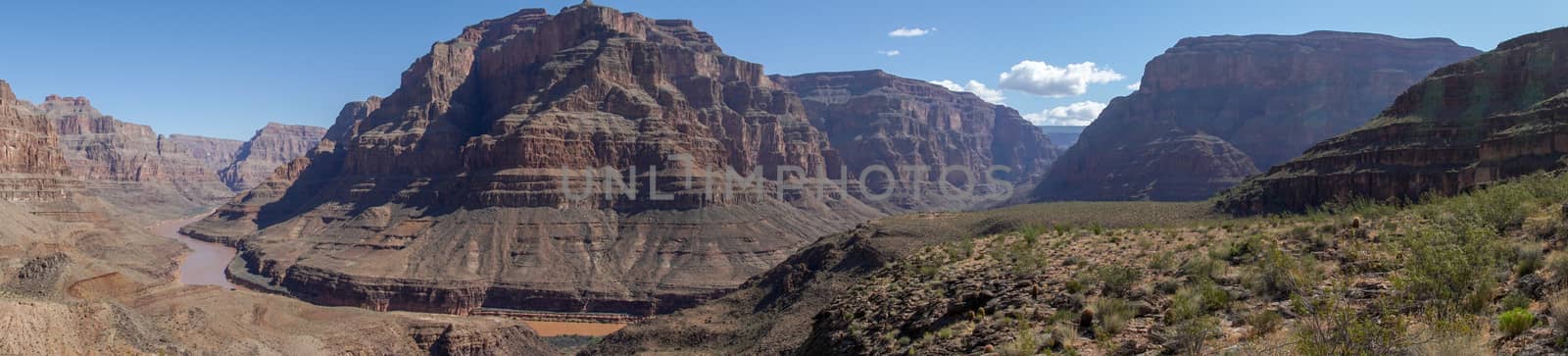 Landscape view of Grand Canyon National Park with Colorado river during sunny day. Arizona, USA by Bonandbon