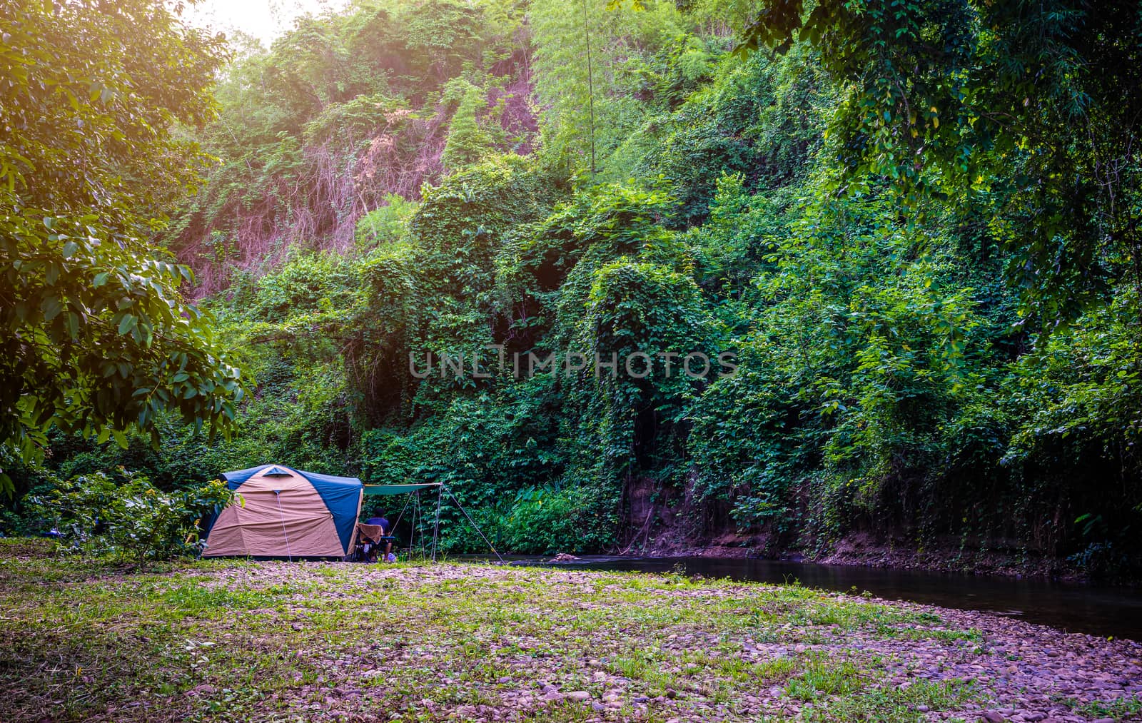 Camping and tent in nature park by domonite