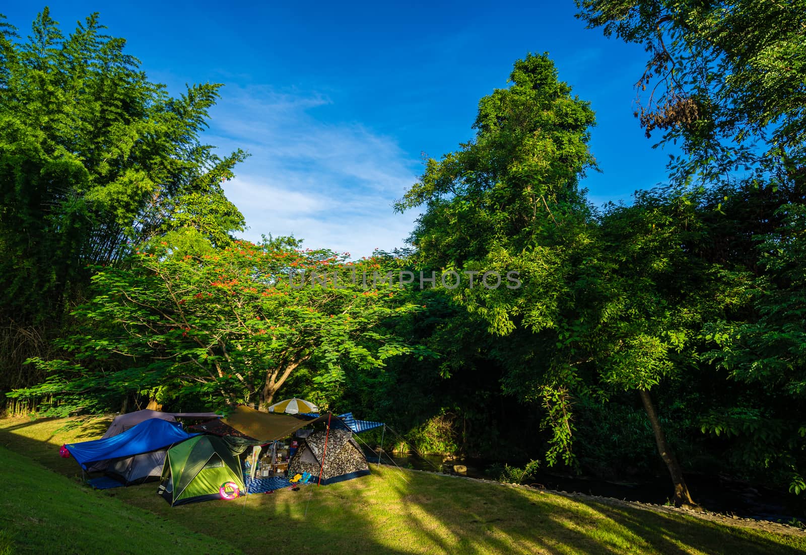 Camping and tent in nature park with blue sky by domonite