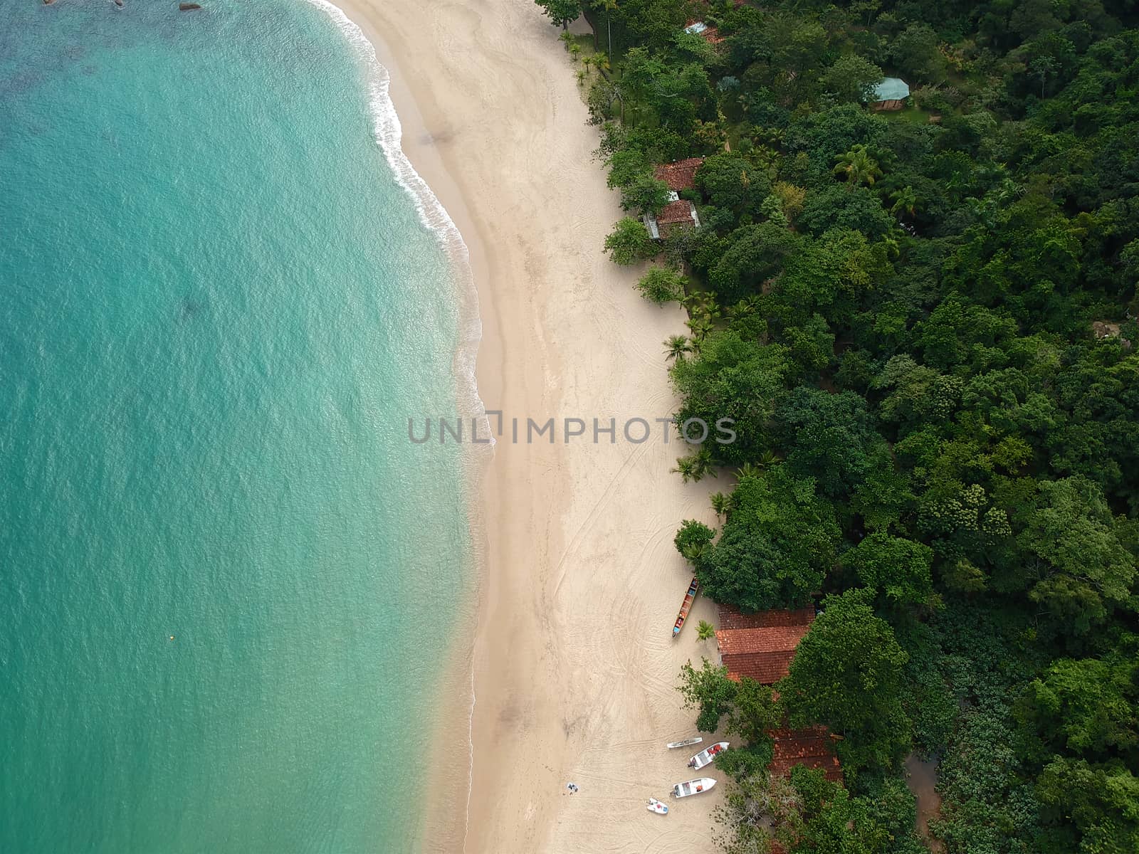 Aerial view of white sandy beach with turquoise water in tropical country. Sandy tropical beach with palm trees. holiday destination. Brazil