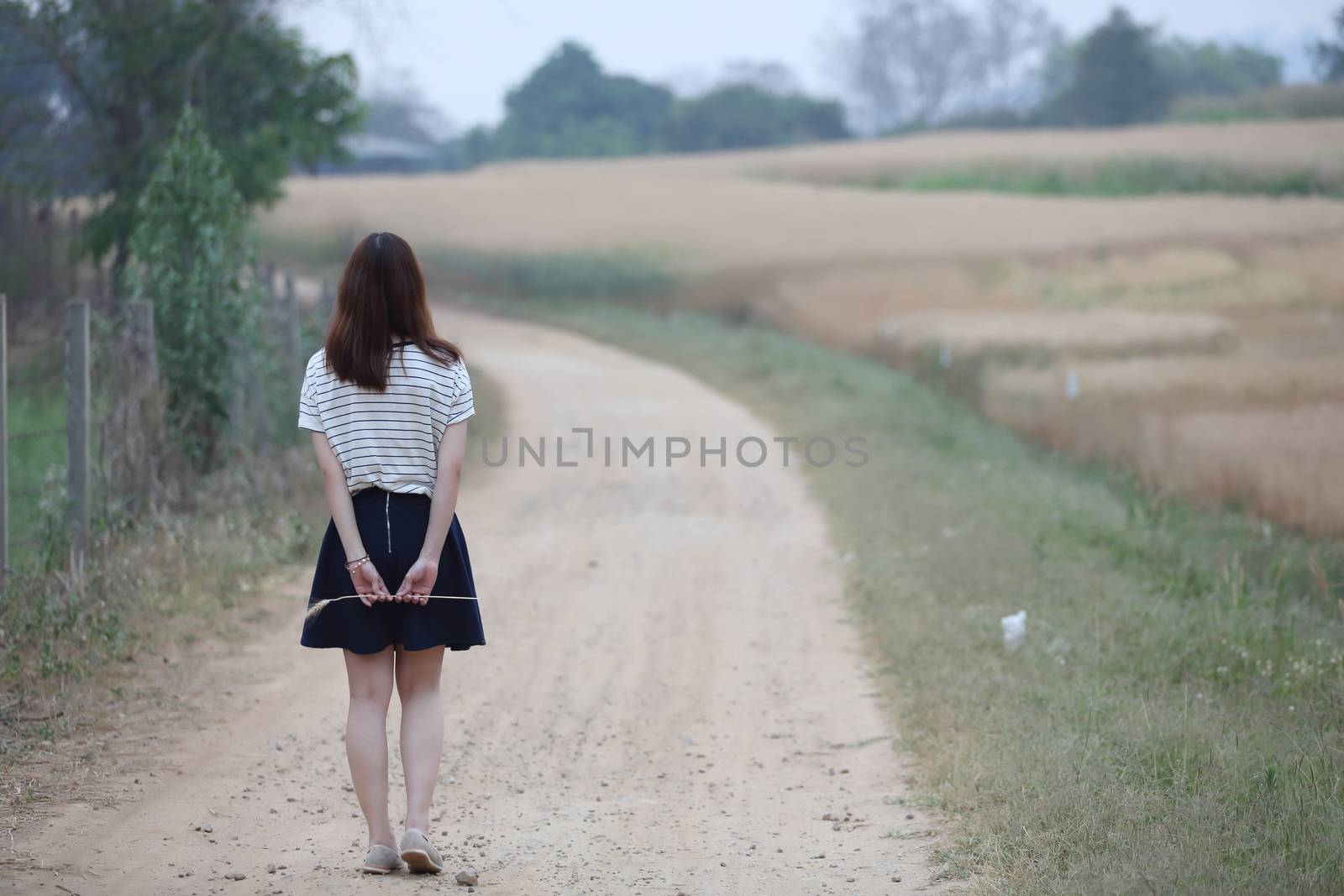 Young woman in wheat