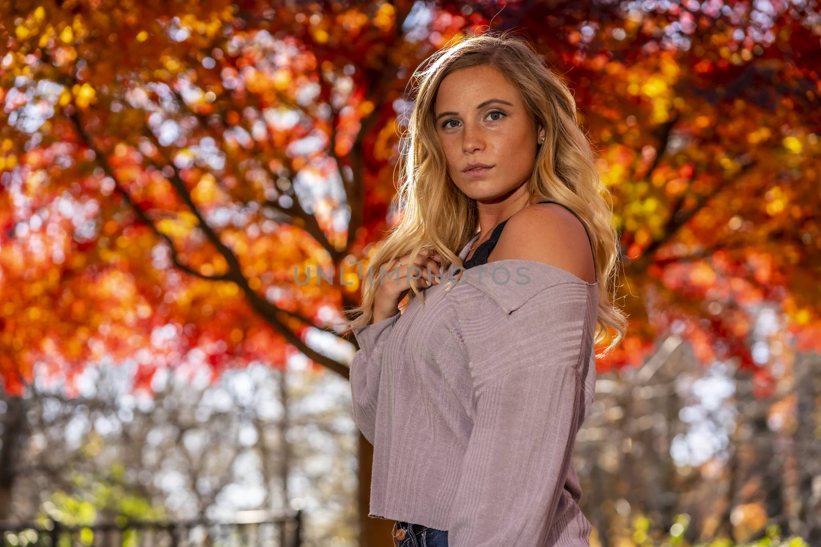 A gorgeous blonde model enjoys a Autumn day outdoors in a park