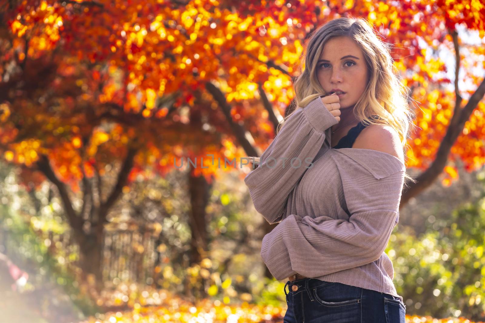A gorgeous blonde model enjoys a Autumn day outdoors in a park