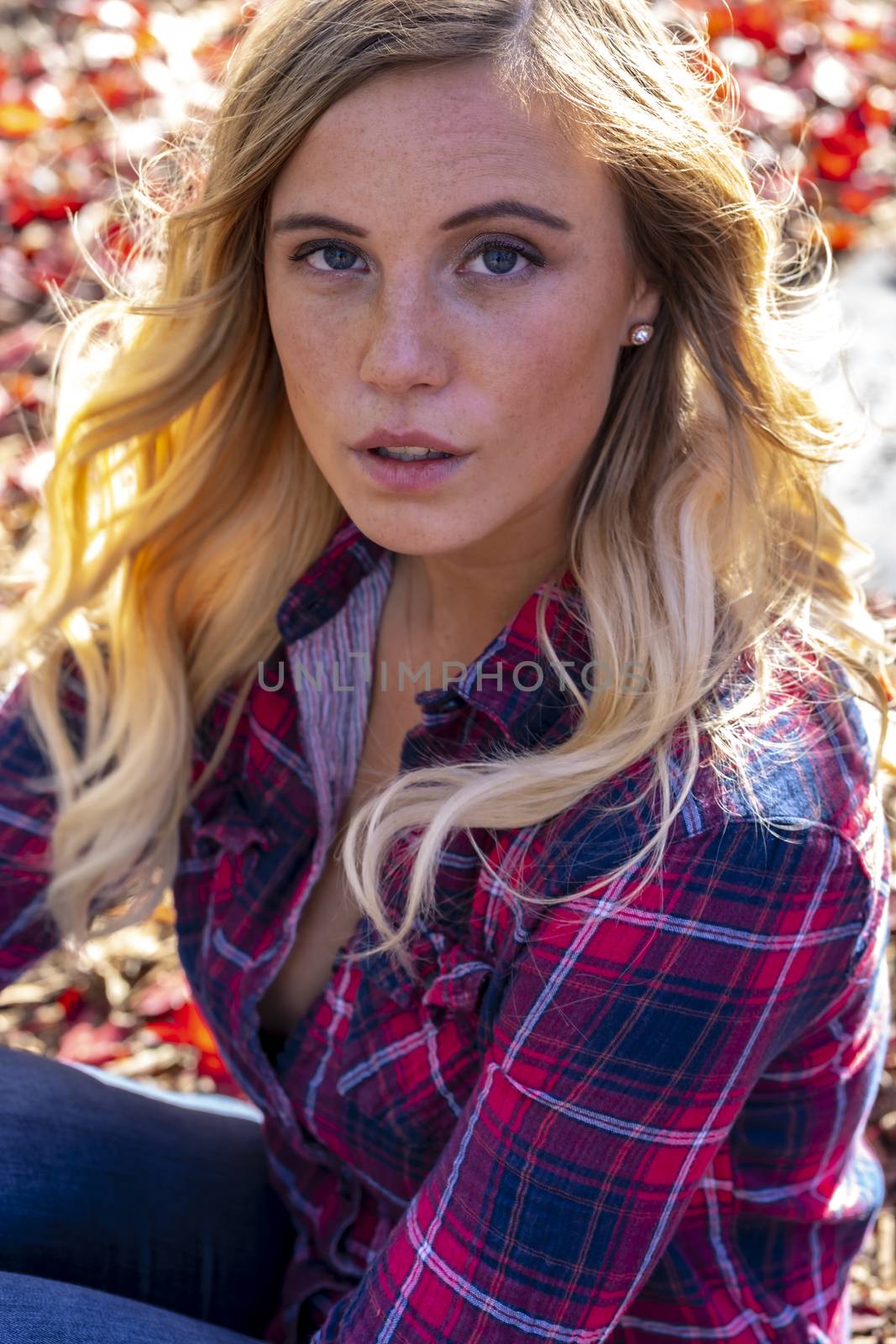 A gorgeous blonde model enjoys a Autumn day outdoors in a park