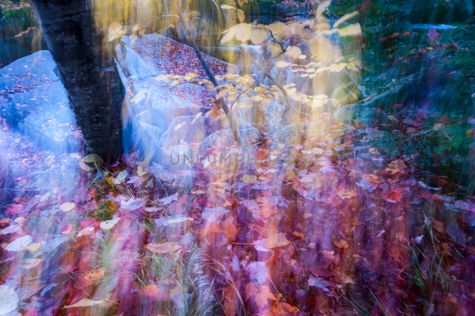 Abstract fall colors in intentional blur giving mystical or magical effect..