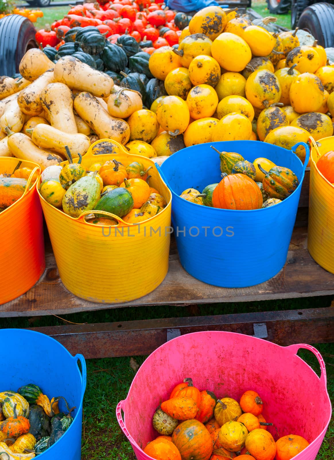 Fresh healthy fruit and vegetables in buckets on trailer at local farmers market by brians101