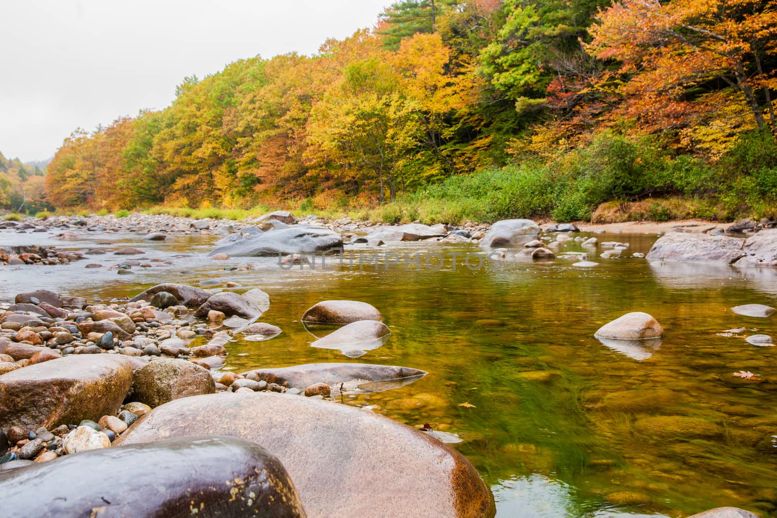 Bolders in shallow river in New England White Mountains National Park against background of colorful  forest in fall